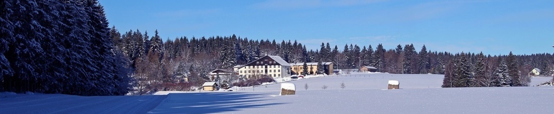 Winter am Hotel Forstmeister